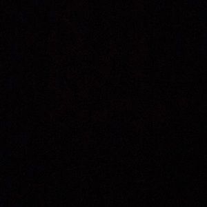 Meet your Posher, Cat